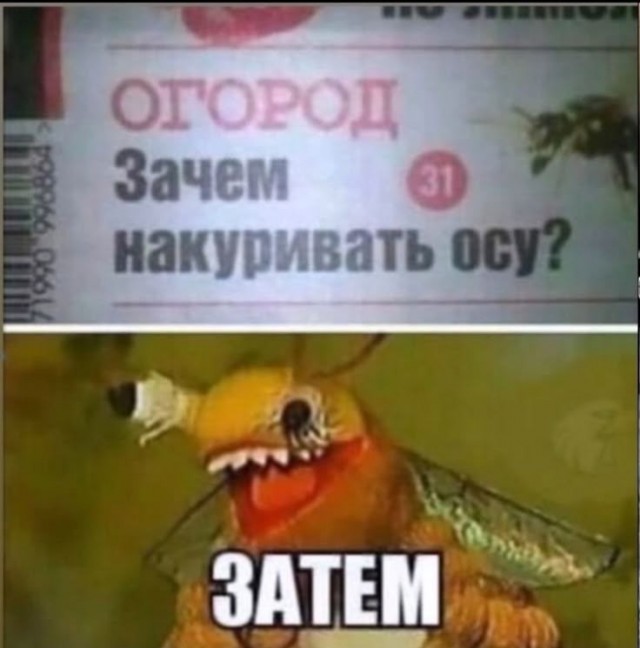 картинка 9289f7e48c 20938610