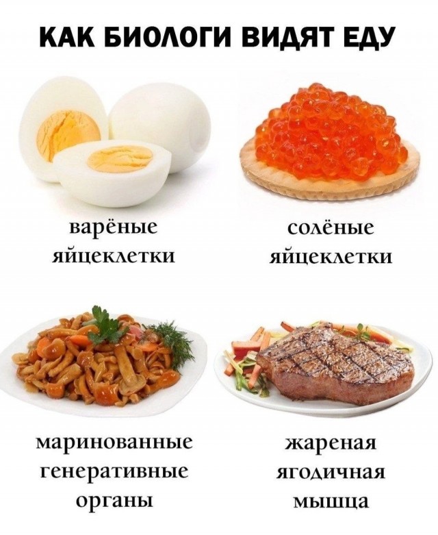 картинка 93aabeac0b 20964254