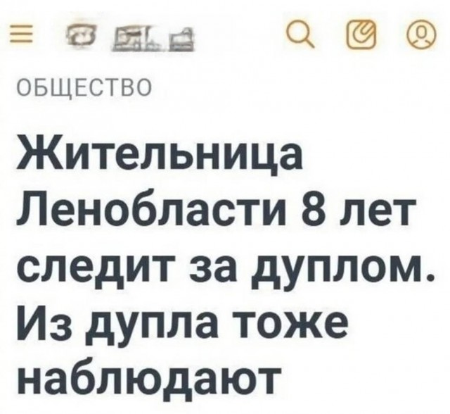 картинка 93f1f2453f 20937294