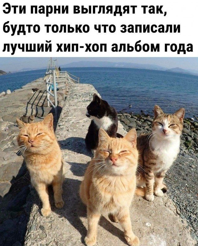 картинка 940c36be12 20954814