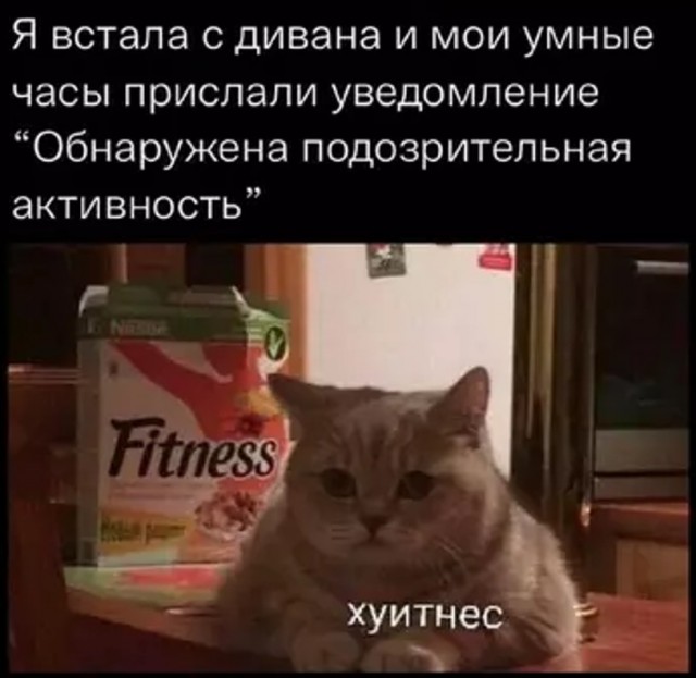 картинка 957763e70e 20939462