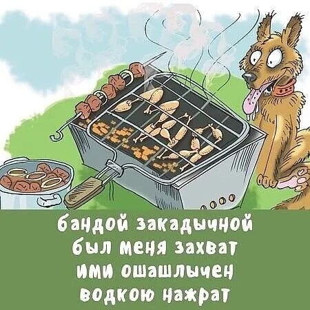 картинка 98494d2404 20987113