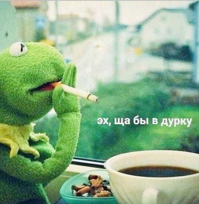 картинка 98c8187a0a budni ne povod grustit podborka pozitiva dlja ljubogo dnja nedeli 12