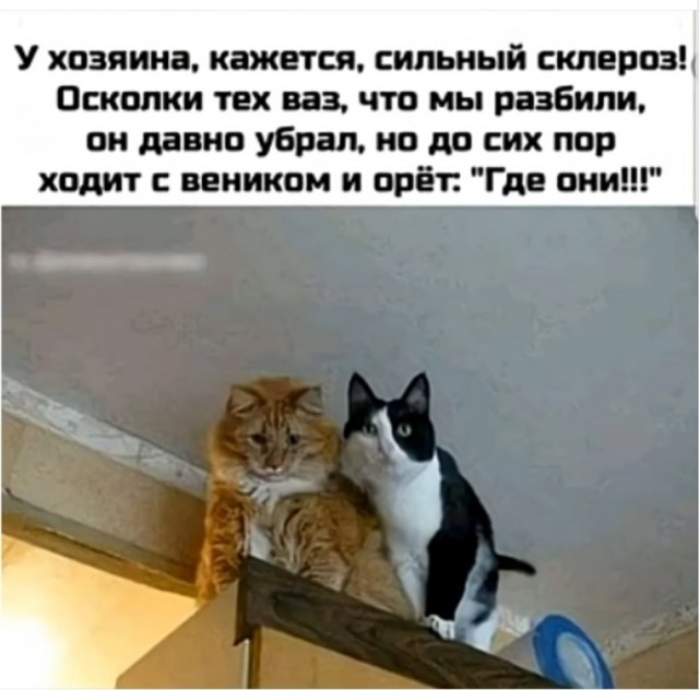 картинка 98e12563a0 20938524