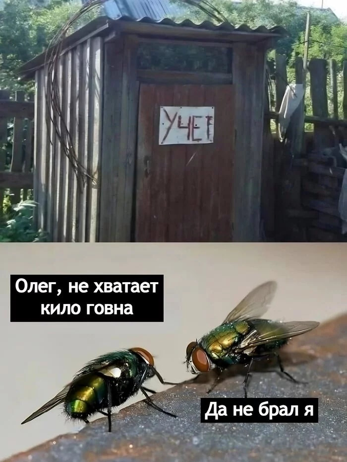 картинка 998e3dcfa0 bolshoj sbornik samyh svezhih i smeshnyh prikolov k malenkoj pjatnice 3