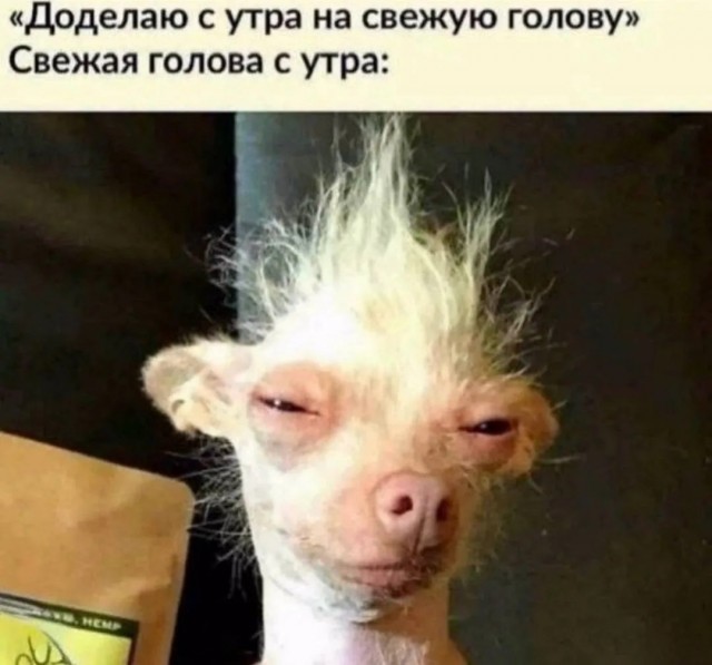 Выходные — время для смеха! выходные, смеха, настроение, сохраняйте, смейтесь, листайте, Тогда, позитива, кофеГотовы, Ловите, лучше, взбодрить, могут, минут, энергии, заряд, мгновенный, отправляйте, друзьям, думают
