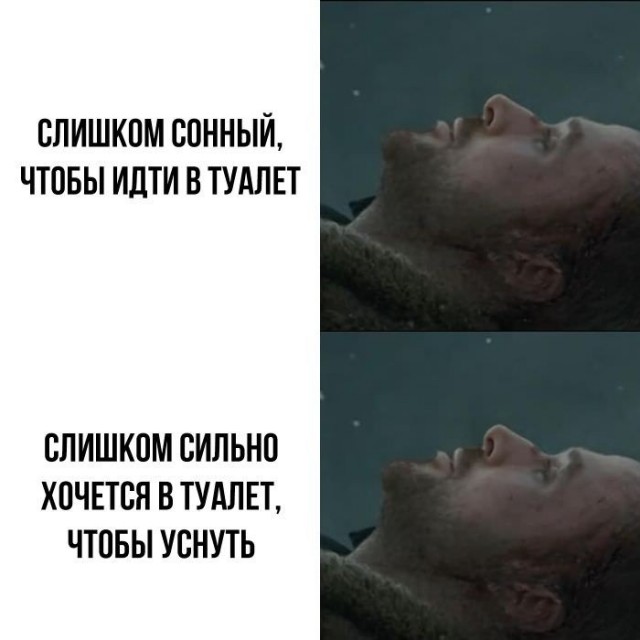 картинка 9a32e0b475 20985027