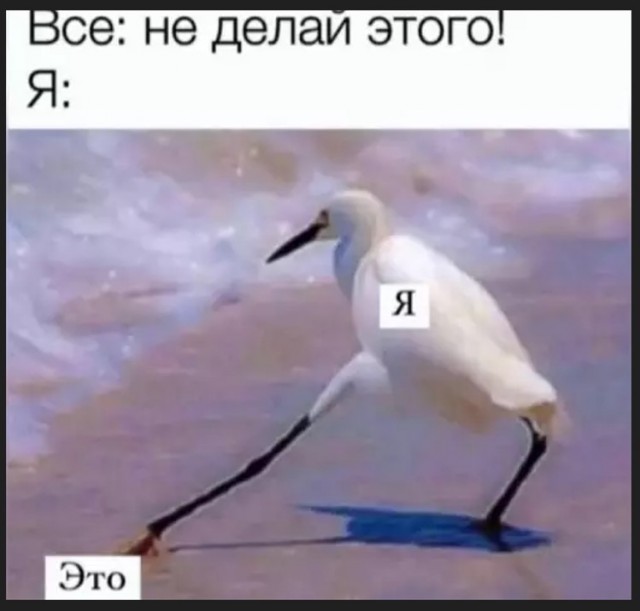 Маленькая пятница уже здесь! 🎉 Лови порцию свежих шуток и мемов, чтобы пережить середину недели с улыбкой! шутки, чтобы, маленькая, приколы, пятница, выходных, настроения, недели, самые, Готовьтесь, которые, самый, совсем, повороты, каждый, работу, нашел, чтото, душеСитуативные, 😉Неожиданные