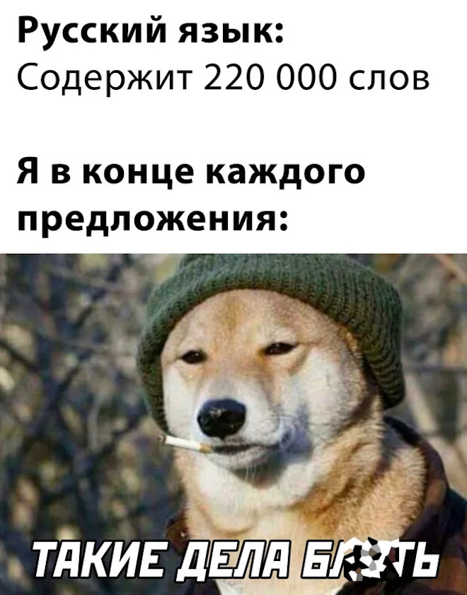 картинка 9eeffb28b9 ulybnites podborka samyh smeshnyh memov i prikolnyh kommentariev iz socsetej 8
