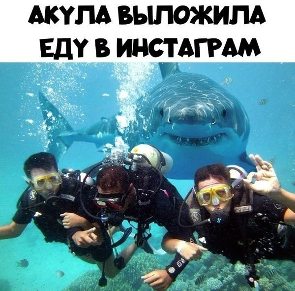 картинка a0b411c322 20955892