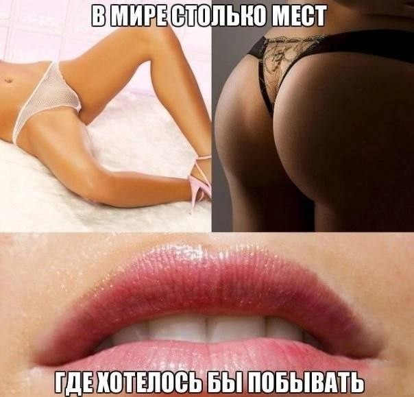 картинка a177c418e1 perchinka dlja vashej lenty sbornik pikantnyh memov s ogonkom 18