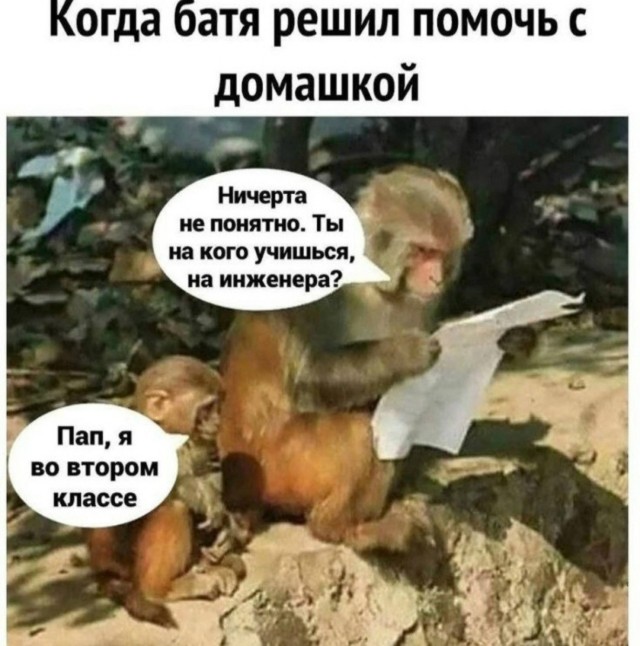 картинка a1b3594b15 20938591
