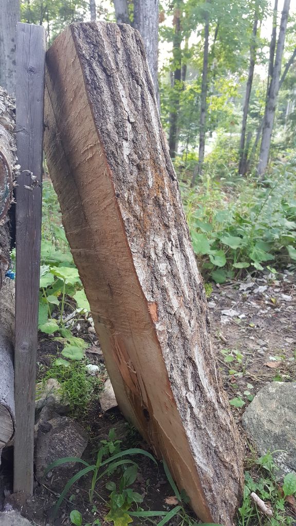 картинка a2a1a329d9 originalnaja skamja iz naturalnogo dereva 2