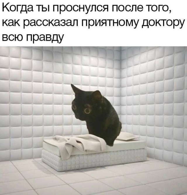 Выходные — время для смеха! выходные, смеха, настроение, сохраняйте, смейтесь, листайте, Тогда, позитива, кофеГотовы, Ловите, лучше, взбодрить, могут, минут, энергии, заряд, мгновенный, отправляйте, друзьям, думают