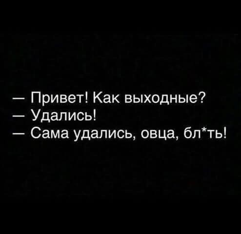 картинка a3fc8272d6 20971707