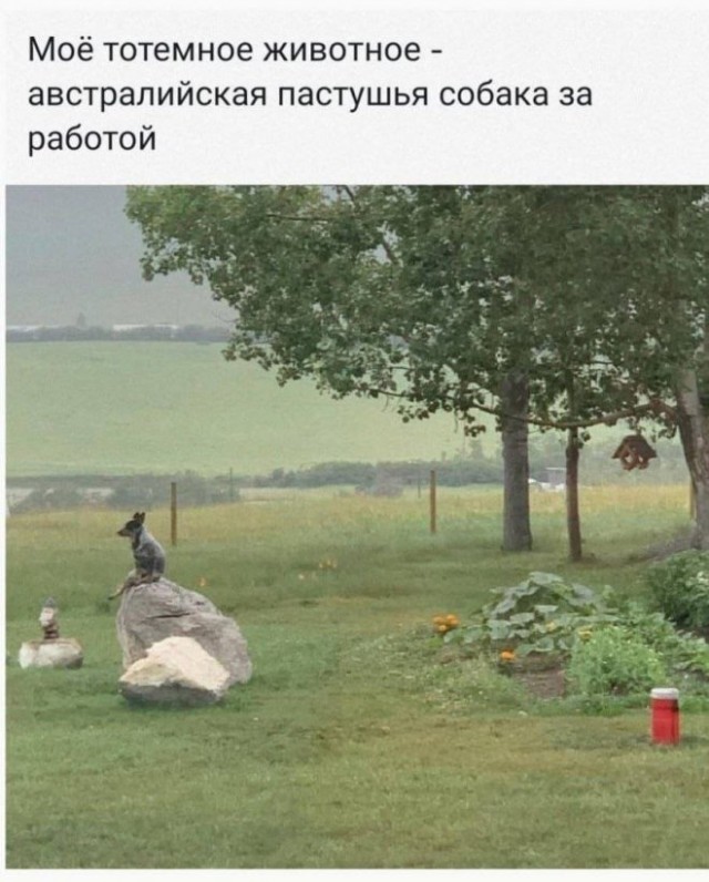 картинка a504328362 20955843