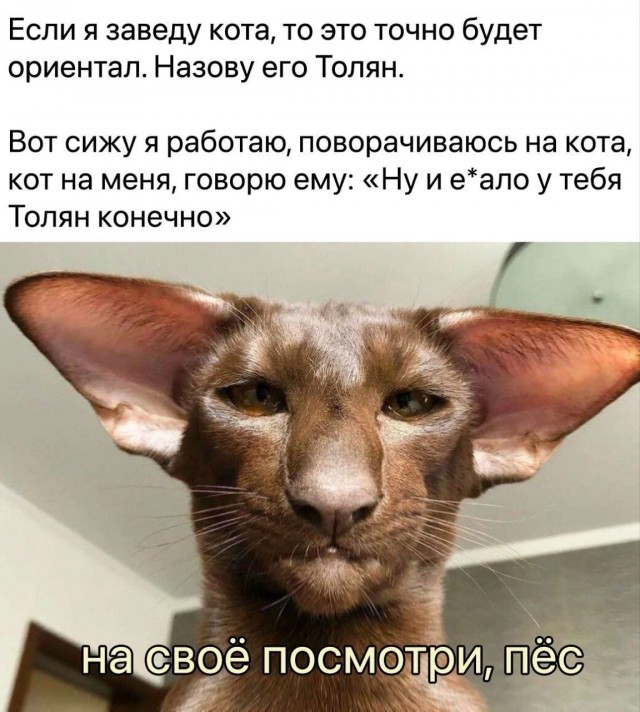 картинка a7ad82a4b6 20936748