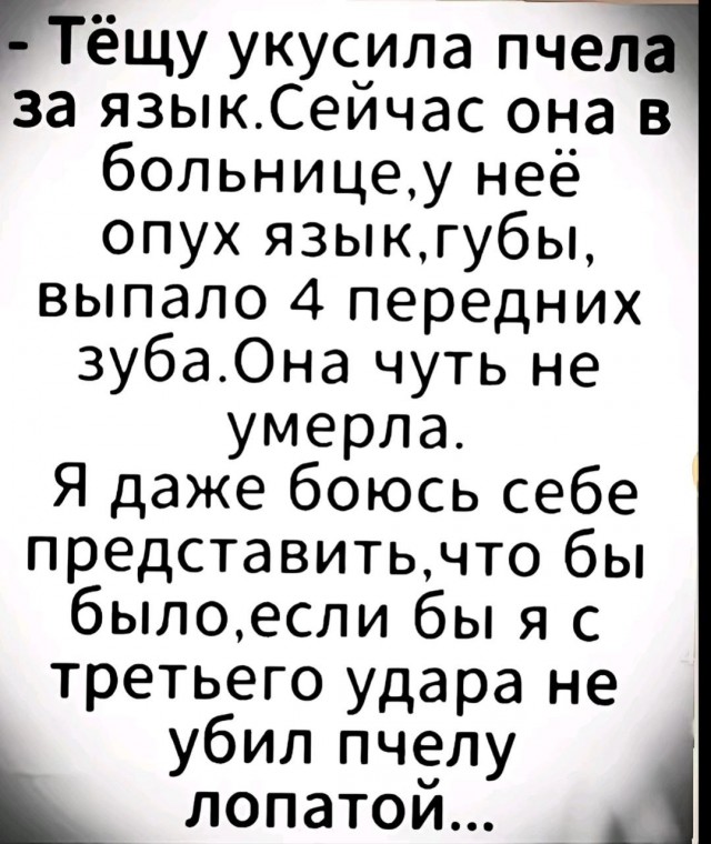 картинка a883de72c2 20986746