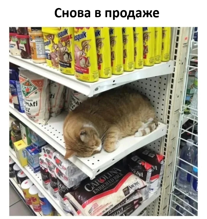 картинка a898bfbfd5 000000