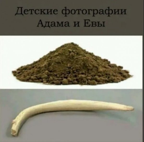 Понедельник? Не проблема! Заряжаемся позитивом с мемами и картинками! которые, который, поможет, самое, точно, сборник, позитивом, готовы, отличного, понедельник, только, понедельника, неделю, именно, пройти, улыбкой, начать, может, негатива, чистый