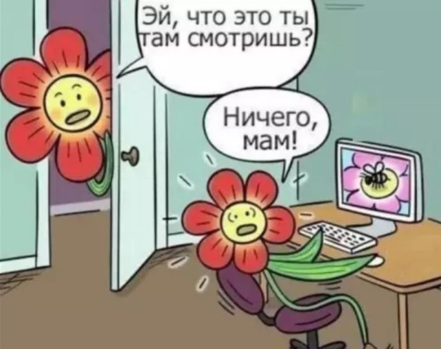 картинка ac3b285850 20956469