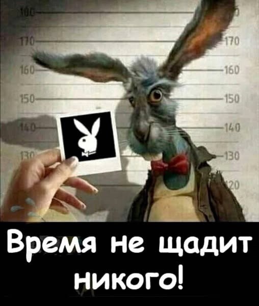 картинка acc7a1f80a 20987106