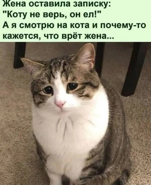картинка afc17f05ef 20918855