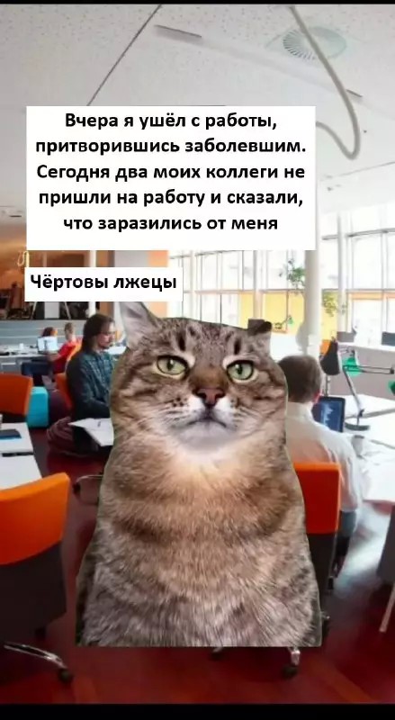 картинка b17c2759d2 20920831