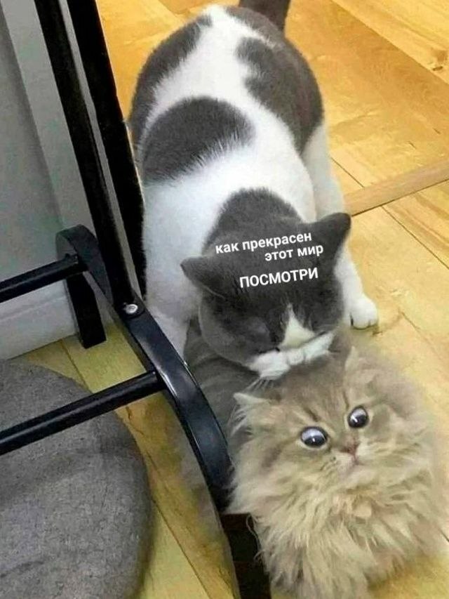картинка b1c41fbe98 000000
