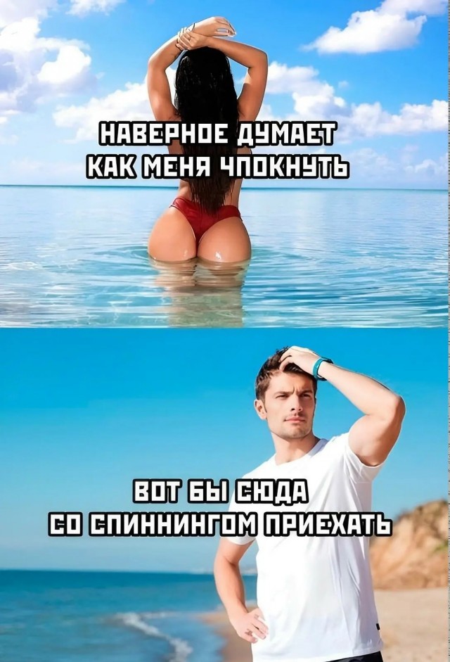 картинка b1d2747239 20984891
