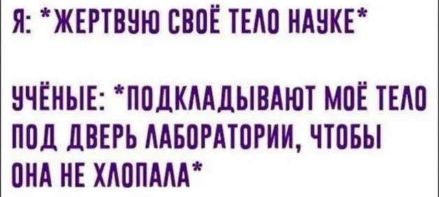 картинка b35dd6f7aa 21008683