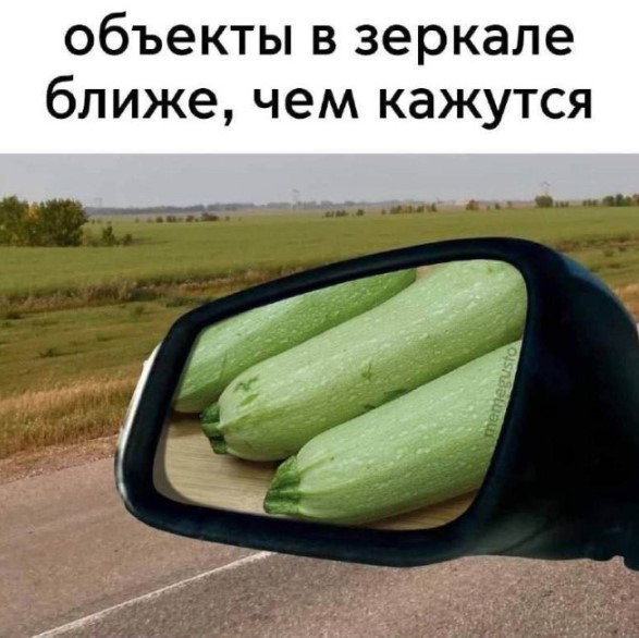 картинка b4da3a7e8d 20936992