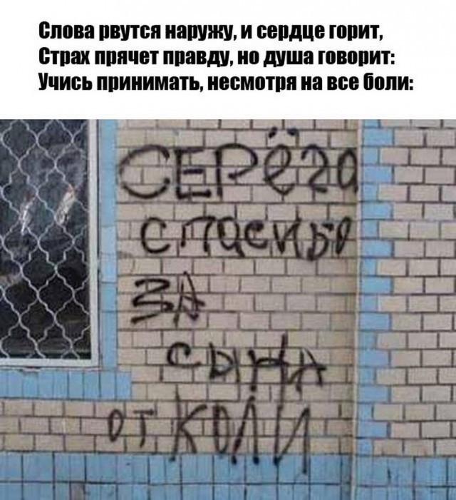 картинка b6b3f9578b 20972298