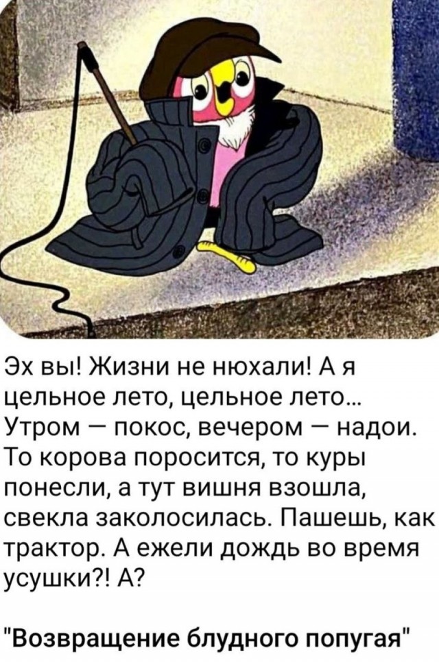 картинка b6ec4dd14b 20971731