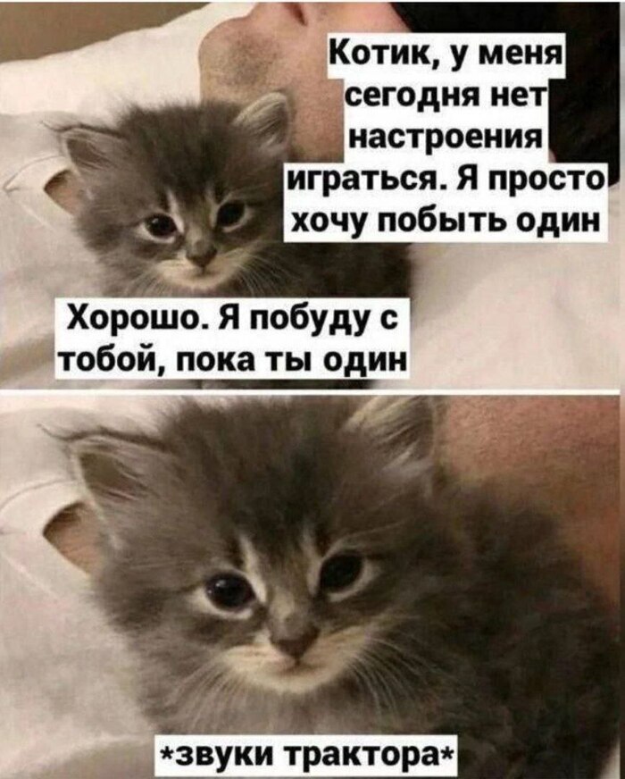 картинка b84b6336a6 seredina nedeli ne beda lovite porciju pozitiva 00