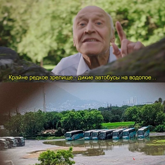 картинка b975ec5fdb 21021204