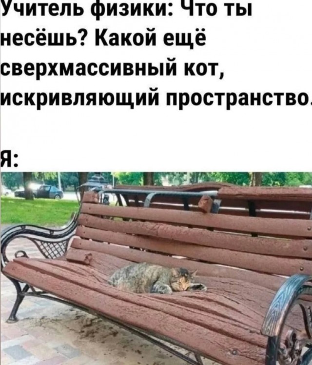 картинка b9fd122225 20956505