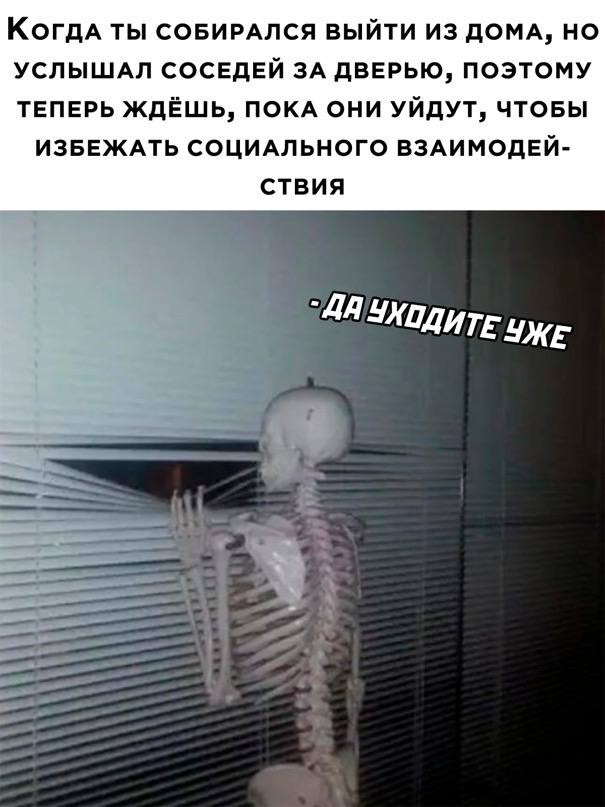 картинка bade5efa8e 21021178