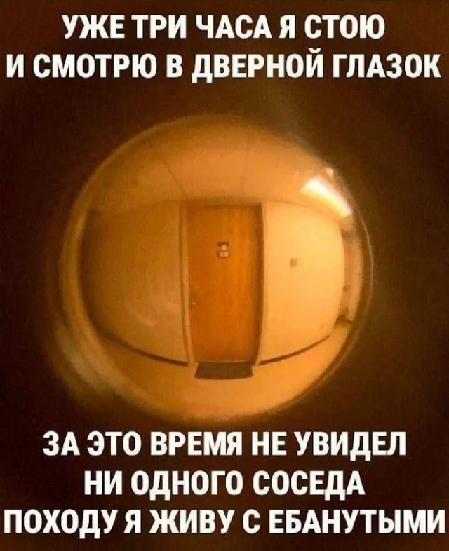 картинка bdd9c3a76f 20972338