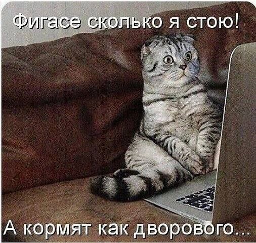 картинка be0ad71e11 20973065