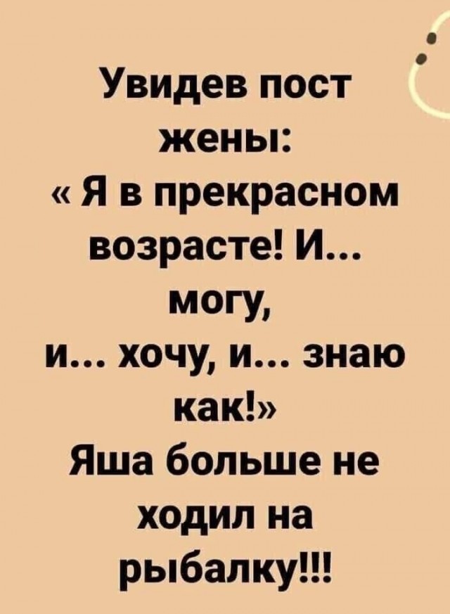 картинка c23f923dfd 20954521