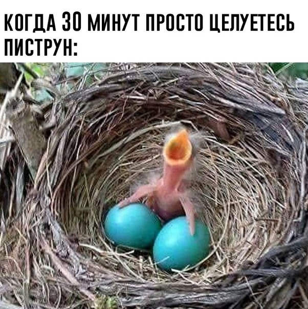 картинка c6e9935598 21021206