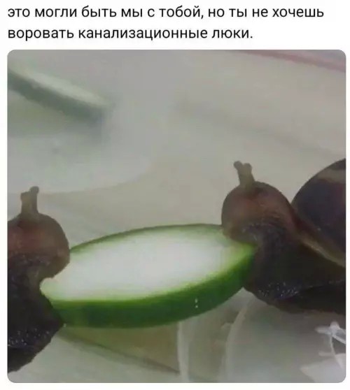 картинка c6ea420422 chernyj jumor v memah dlja teh kto ne boitsja zagljanut za gran 23
