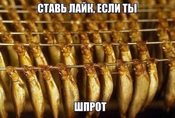 картинка ca1aacb2bd dlja cenitelej chernogo jumora porcija memov s pikantnoj ostrotoj 17