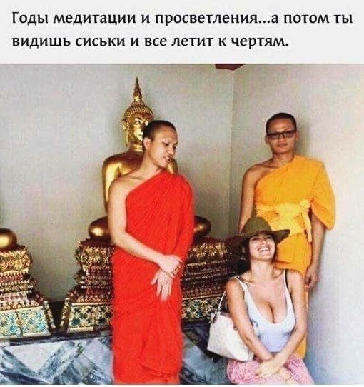 картинка ca27e28ee2 20953940