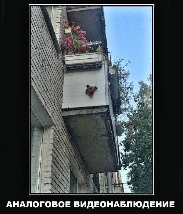 картинка cb7d0e4ac9 20953499