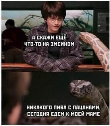 картинка cc58358f76 000