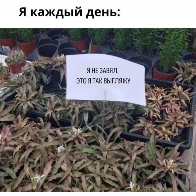 картинка ce4d2be497 20953912