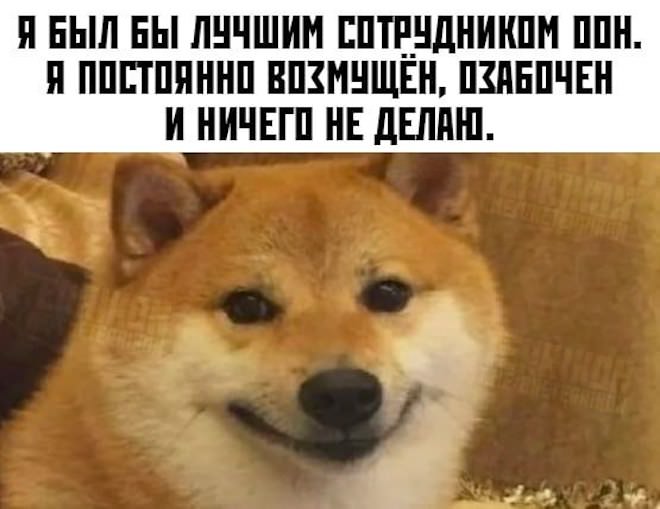 картинка d02a2dcb27 novye memy i kommenty iz socsetej vse samoe smeshnoe sobrano dlja vas 3