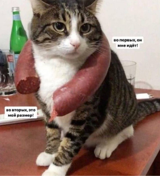 картинка d1f3dfc1bd 20955855